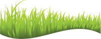 Grass PNG