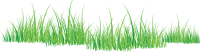 grass png image, green grass PNG picture