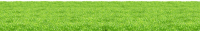 grass png image, green grass PNG picture