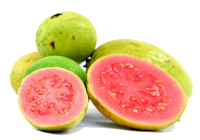 Guava PNG