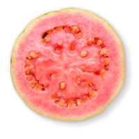 Guava PNG