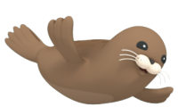 Harbor seal PNG