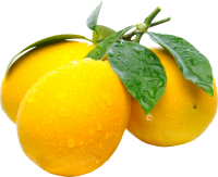 Lemon PNG