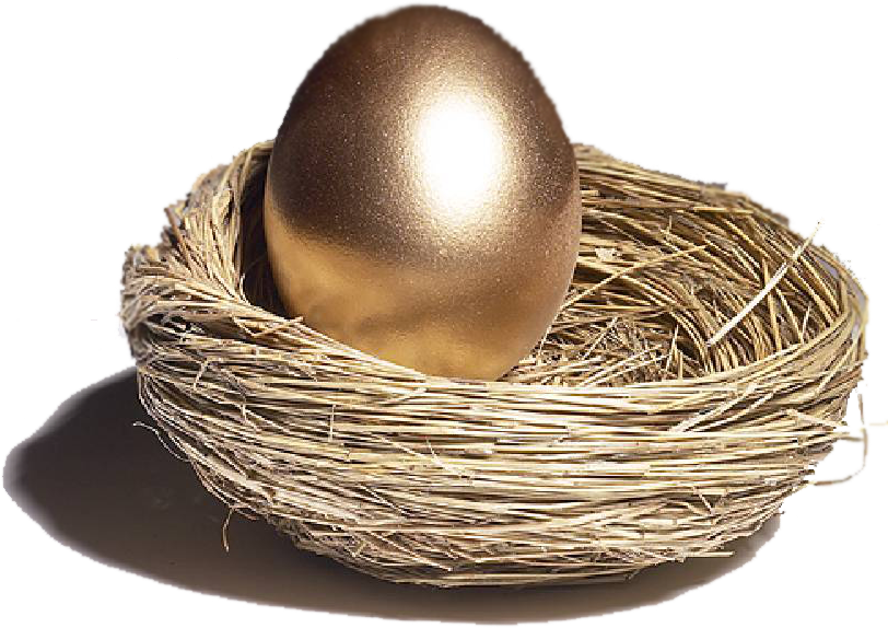 Nest PNG irudiak doakoak dira deskargatzeko - Crazy Png-Png irudiak ...