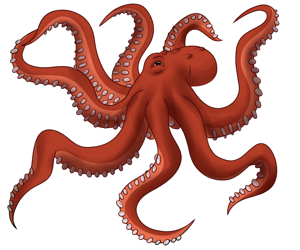 Pulpo De Dibujos Animados Dibujo Imagen Png Imagen Transparente ...