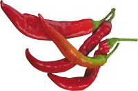 Red chili pepper PNG image