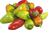 Pepper PNG image