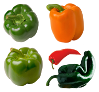 Pepper PNG image