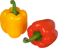 Pepper PNG image