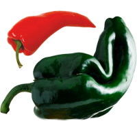 Bell pepper PNG