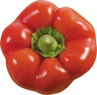 Bell pepper PNG