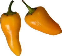 Bell pepper PNG