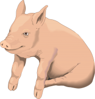 picture pig PNG image