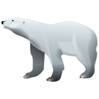 Polar white bear PNG