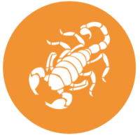 Scorpio PNG