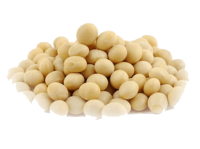 Soybean PNG