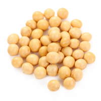 Soybean PNG