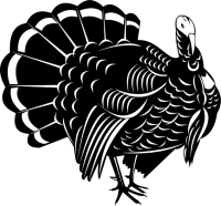 Turkey bird PNG