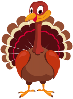 Turkey bird PNG