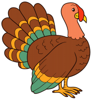 Turkey bird PNG