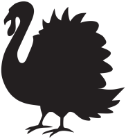 Turkey bird PNG