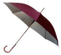 Umbrella PNG