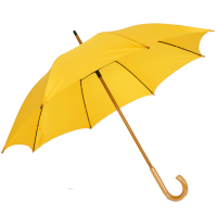 Umbrella PNG