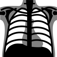 X-rays PNG