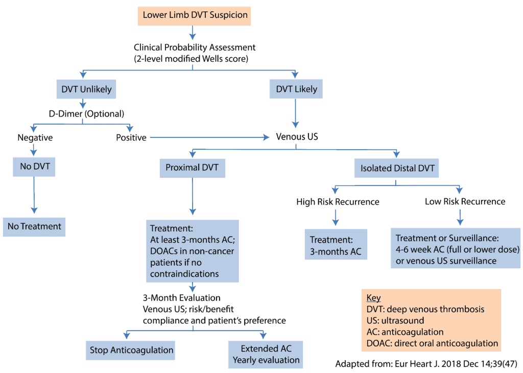 Recommended Algorithm For Treatment Of Acute Portal Vein Thrombosis