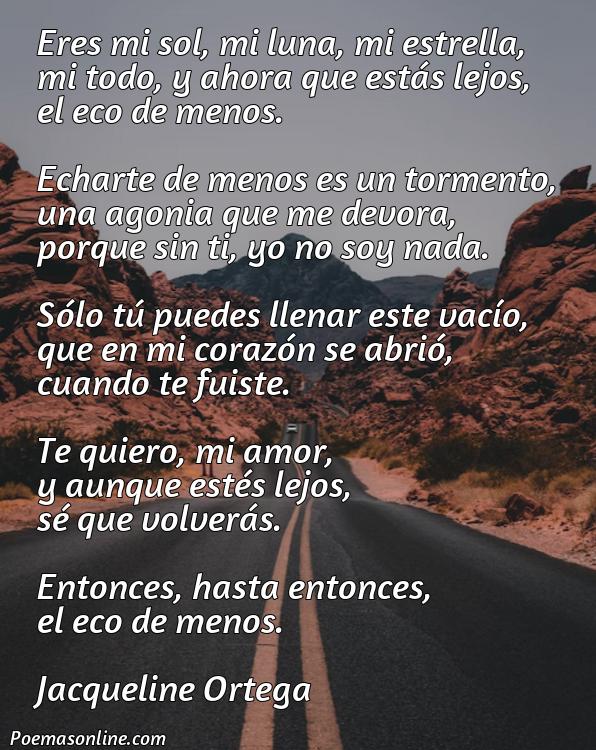 Cinco Mejores Poemas de Amor te Echo de Menos