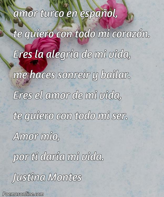 5 Mejores Poemas de Amor Turcos en Español