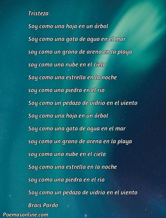 Excelente Poema de Estados de Animo, Poemas de Estados de Animo