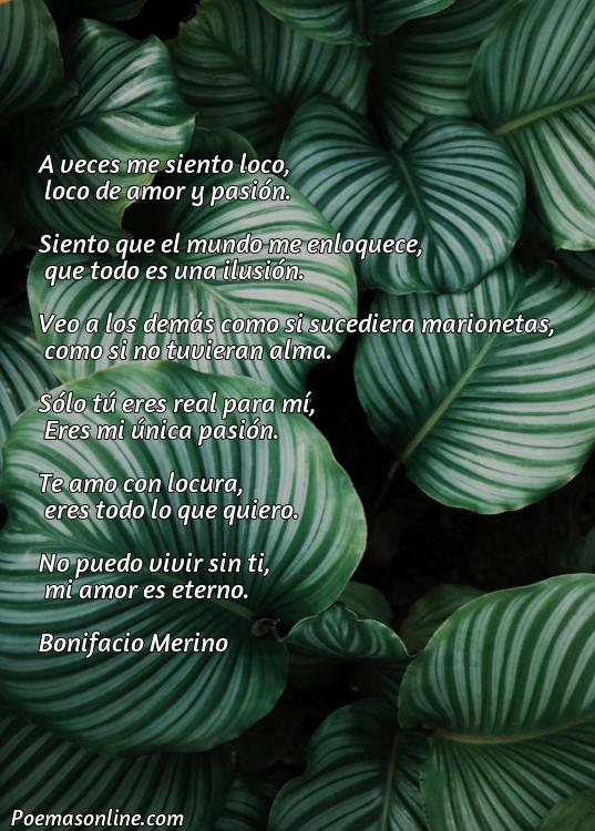 Cinco Poemas de Locura y Pasión