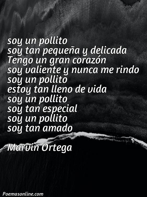 Lindo Poema de Pollito, Cinco Mejores Poemas de Pollito