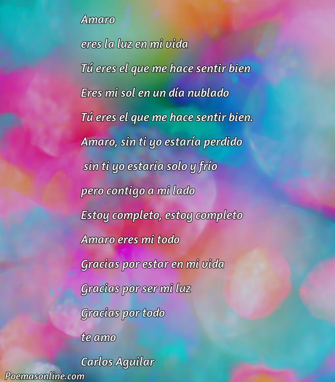 Cinco Poemas para Amaro