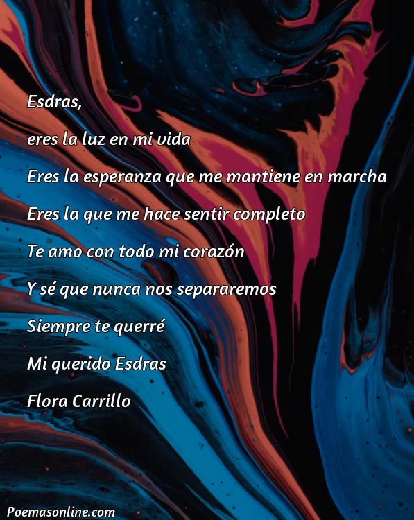 Excelente Poema para Ezra, Poemas para Ezra