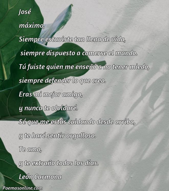 Cinco Mejores Poemas para Máximo