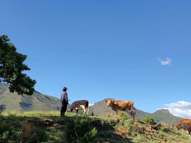 Lesotho