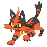 Torracat