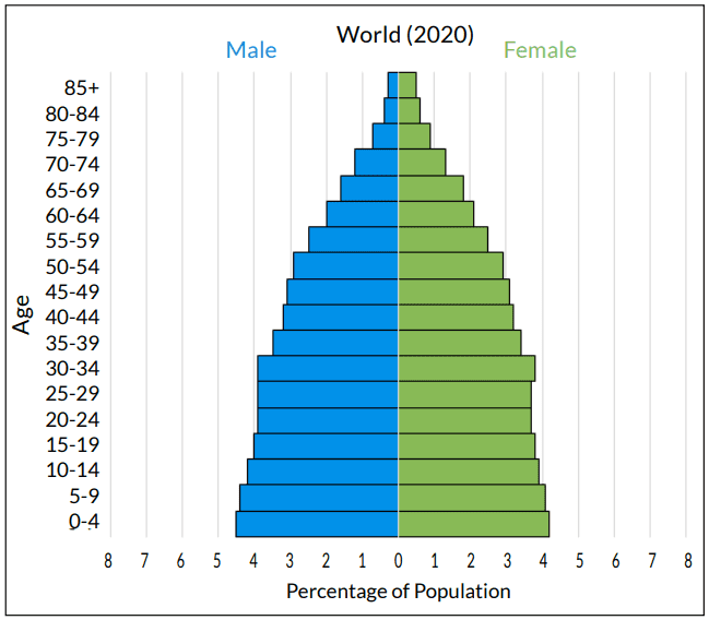 Population pyramid, age-structure-diagram, for global population in the year 2020