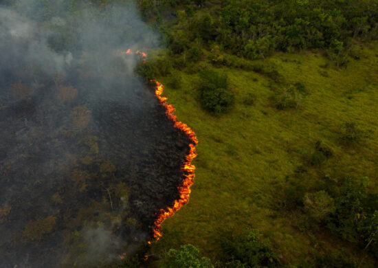 Queimadas na Amazônia