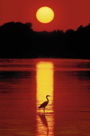 Sunset in the Florida Keys Poster