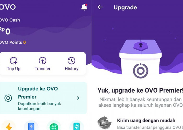 OVO Club - OVO Premier, Ini Perbedaan dan Keuntungan Keduanya