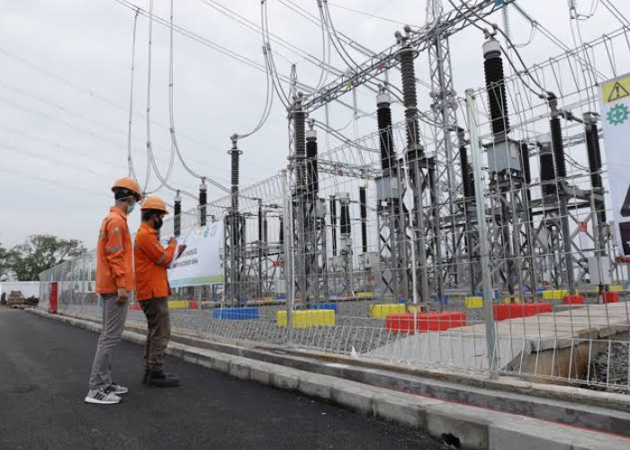 PT PLN Buka Lowongan Kerja, Ini Posisi dan Syaratnya