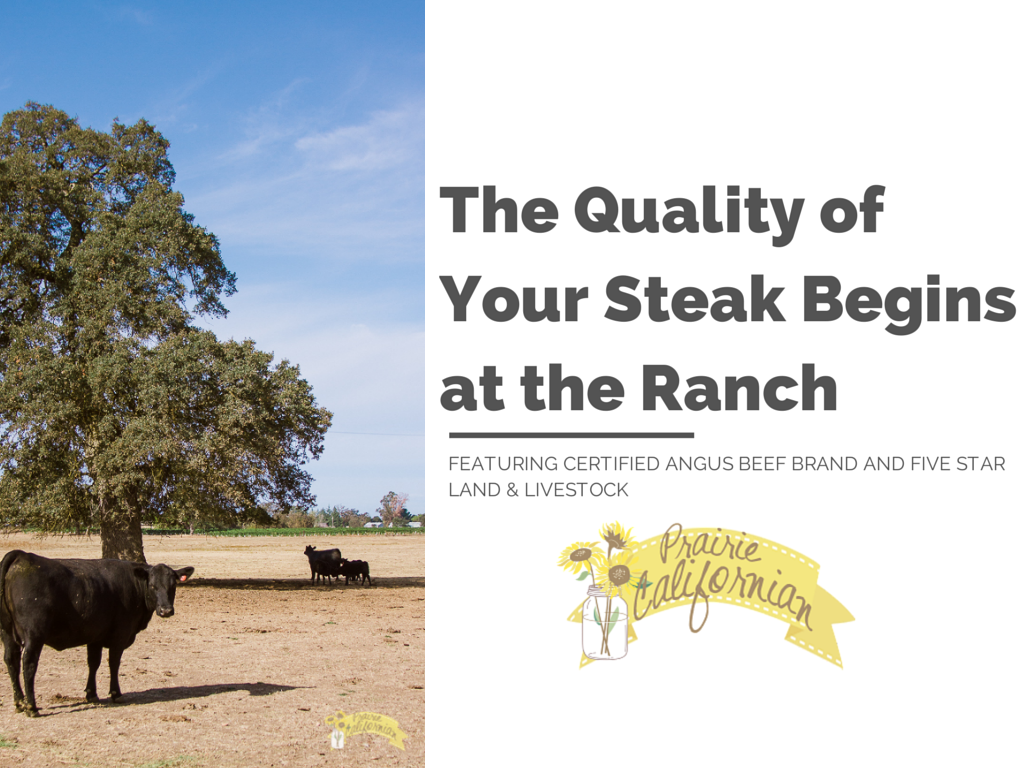 The Quality of Your Steak Begins on the Ranch