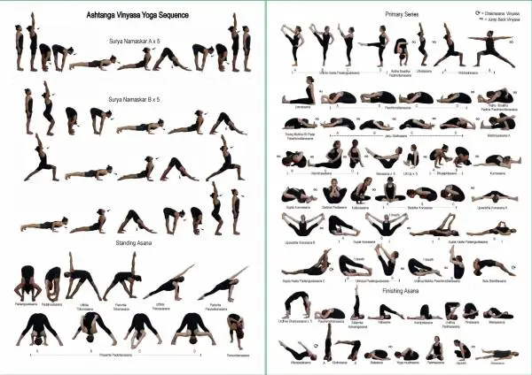 Ashtanga Yoga Sequences