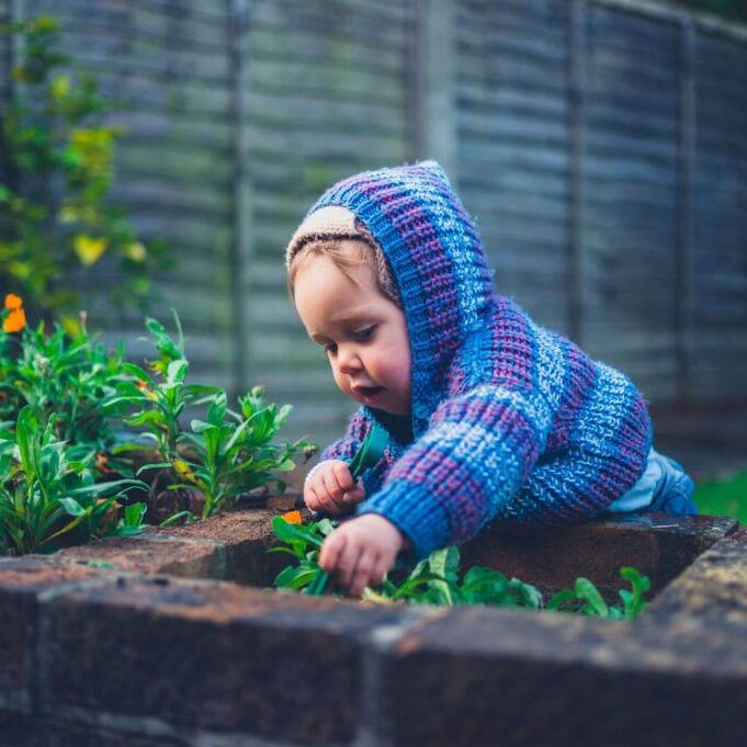 Toddler playing in backyard garden.