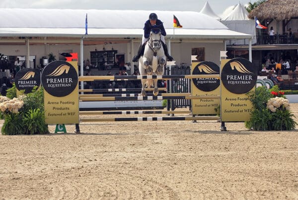 gray horse jumping on fiber footing