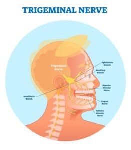 Different Types of Neuralgias - Premier Neurology & Wellness Center