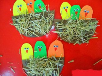 bird-nest-craft-idea